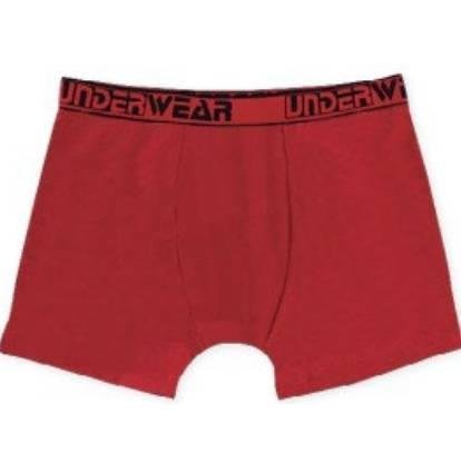 CUECA COTTON LISA ADULTO